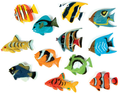 1.5"" Tropical Fish Case Pack 12