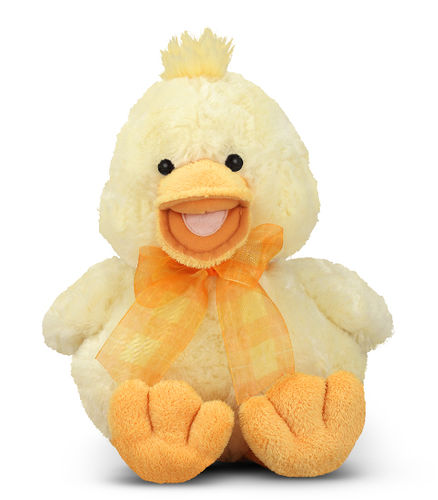 Thalacker Quacker Duck