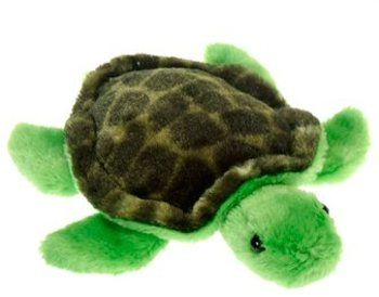 Lil' Buddies - 6.5"" ""Timmy"" Bb Turtle Case Pack 24