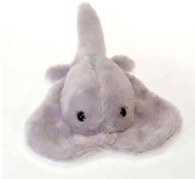 Lil' Buddies - 8"" ""Sammy"" Bb Stingray Case Pack 24