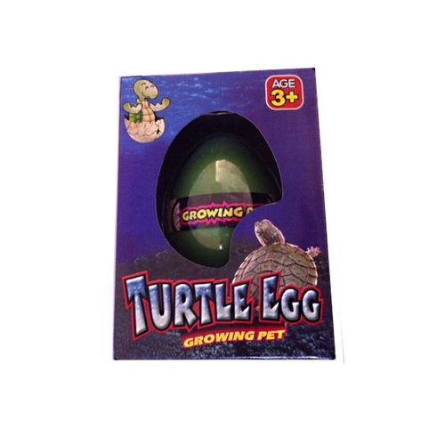 Turtle Hatch'Em Eggs Growing Pet Case Pack 36