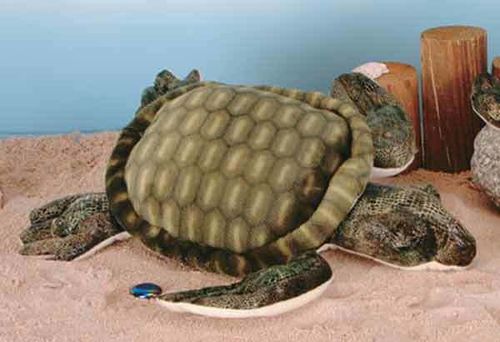 14"" Sea Turtle Case Pack 12