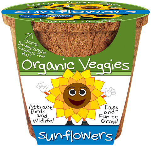 Organic Sunflowers Case Pack 18