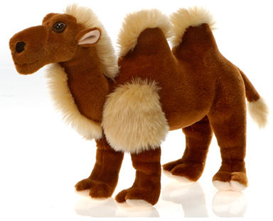 14"" Camel Case Pack 12