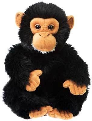 10"" Sitting Chimpanzee W/Picture Hangtag Case Pack 12