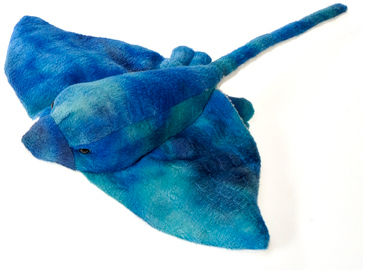 20"" Blue Sting Ray Case Pack 24