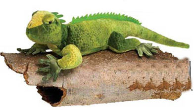 23"" Iguana W/Picture Hang Tag Case Pack 24