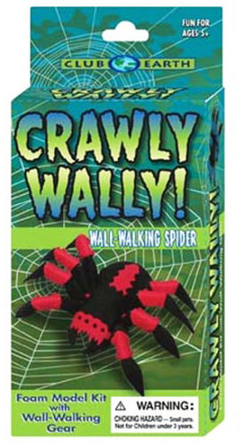 Club Earth Crawly Wally Wall-Walking Spider Case Pack 12
