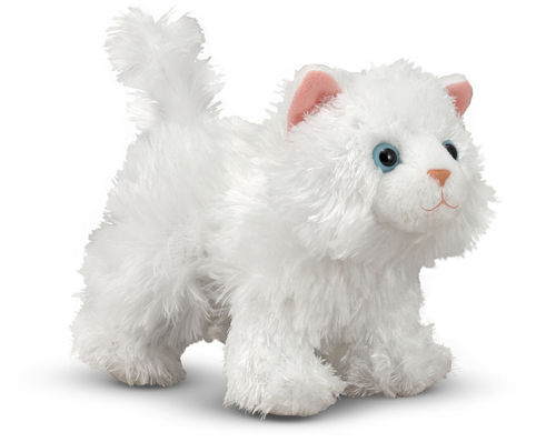 Pixie Persian Cat