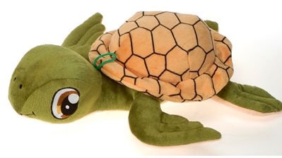 8"" Green Turtle W/Big Emb. Eyes Case Pack 48