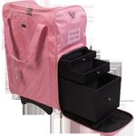 Pink Trolley Case W/Divider