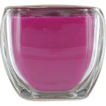 DRAGON FRUIT SCENTED by Dragon Fruit Scented TROPICAL SCENTED 13 OZ 2-WICK GLASS CANDLE. BURNS APPROX. 60 HOURS