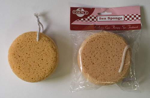Sea Sponge Case Pack 144