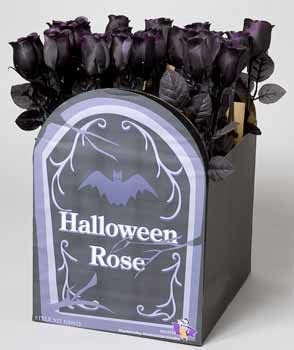 Halloween Black Roses Case Pack 60