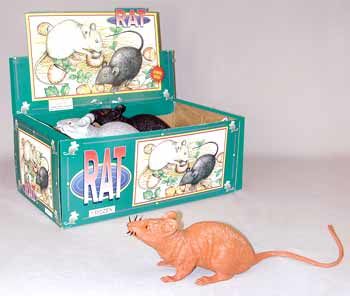 Fake Rat Case Pack 24