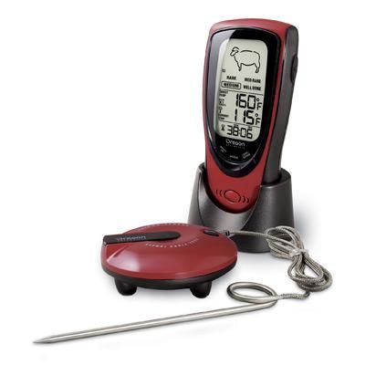 Talking BBQ Thermometer