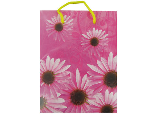 Bright daisies gift bag