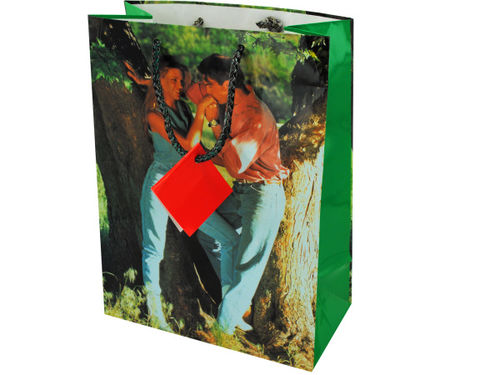 medium gift bag 10050