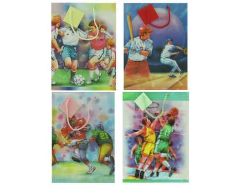 Sports-themed medium gift bags, assorted