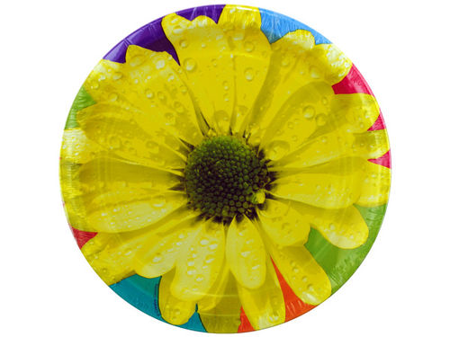 8 pack 8 3/4 inch daisy splash paper plates