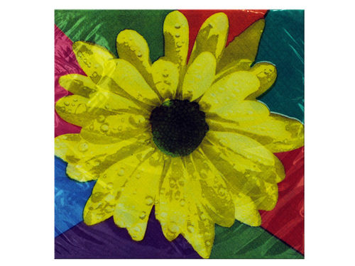 16 count daisy beverage napkin