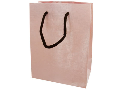 12.5x9.5 gift bag pink