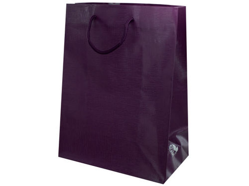 Plum Colored Gift Bag