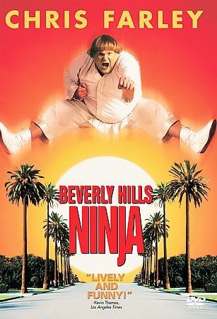 BEVERLY HILLS NINJA