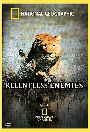 RELENTLESS ENEMIES