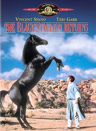 BLACK STALLION RETURNS