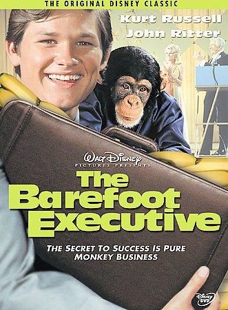 BAREFOOT EXECUTIVE, THE