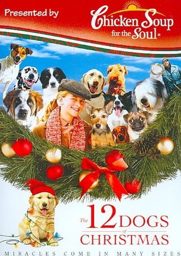 CHICKEN SOUP FOR THE SOUL PRESENTS:12