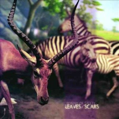 LEAVES/SCARS