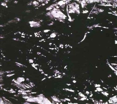 PRESENCES OF ABSENCES