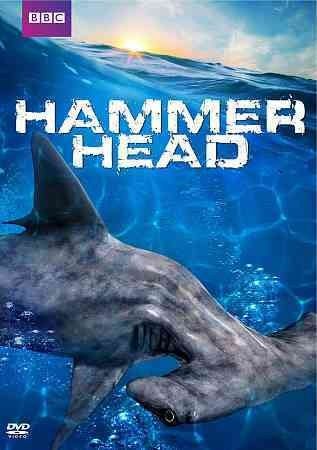 HAMMERHEAD
