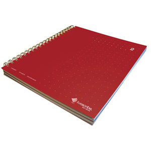 3 Subject Lined Notebook 2