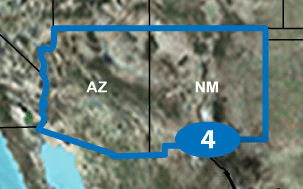 GARMIN 010-C0951-00 TOPO US - MOUNTAIN SOUTH MICRO SD