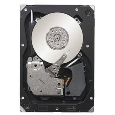 Cheetah SAS 6Gbs 300GB