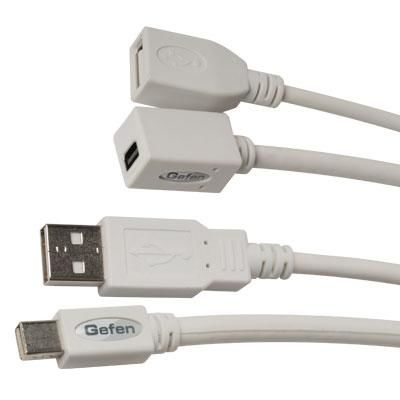 Mini DisplayPort to USB Combo