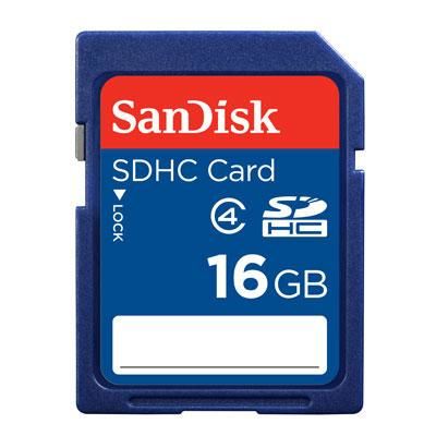 16GB Secure Digital Memory