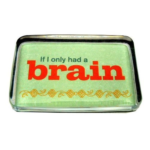 If I Only Had A Brain"" Paperweight Case Pack 24