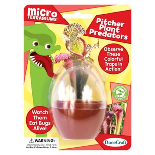 Pitcher Plant Predators Case Pack 18