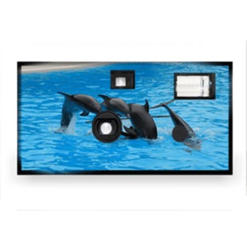 Animal Disposable Camera - Dolphin Case Pack 10