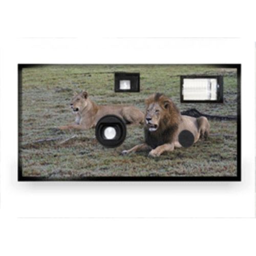 Animal Disposable Camera - Lion Case Pack 10