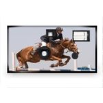 Sports Horse Riding Disposable Camera Case Pack 10