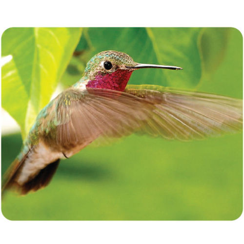 Ad Publishing Hummingbird Peel and Stick Mouse Pad