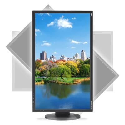 22"" LCD Desktop Mon w LED