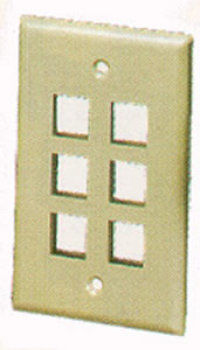 IC107F06IV - 6Port Face Ivory