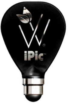Woodees iPic Multi-Purpose Pick Stylus -