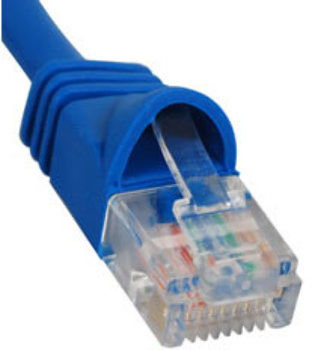 PatchCord 1' Cat6 Blue